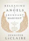Cover: Releasing the Angels of Abundant Harvest - Charisma House