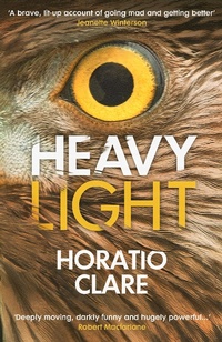 Enlarge image Cover: Heavy Light - Vintage Digital