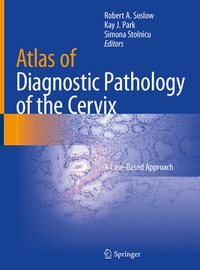 Abbildung von: Atlas of Diagnostic Pathology of the Cervix - Springer