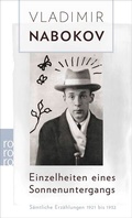 Cover: Einzelheiten eines Sonnenuntergangs - Rowohlt Taschenbuch