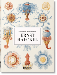 Abbildung von: Ernst Haeckel. Kunst und Wissenschaft. 40th Ed. - TASCHEN