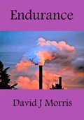 Cover: Endurance - Lulu.com