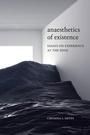 Cover: Anaesthetics of Existence - De Gruyter