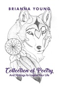 Cover: Collection of Poetry - Dorrance Publishing Co.