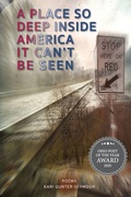 Cover: A Place So Deep Inside America It Can't Be Seen - Sheila-Na-Gig Editions