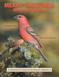 Cover: Merry Christmas Advent to Epiphany - WestBow Press