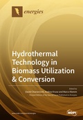 Cover: Hydrothermal Technology in Biomass Utilization & Conversion - MDPI