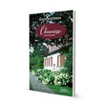 Cover: Chamisso Museum in Kunersdorf - Findling