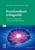 Cover: Praxishandbuch Schlaganfall - Urban & Fischer