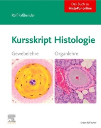 Abbildung von: Kursskript Histologie - Urban & Fischer