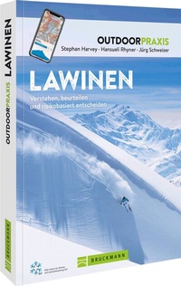 Abbildung von: Lawinen - Bruckmann