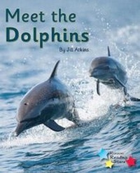 Enlarge image Cover: Meet the Dolphins - Ransom Publishing