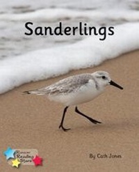 Enlarge image Cover: Sanderlings - Ransom Publishing