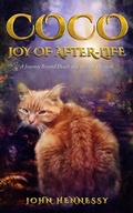 Cover: Coco: Joy of After-Life (A Journey Beyond Death and into the Heavens) - John Hennessy