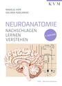 Cover: Neuroanatomie - KVM - Der Medizinverlag