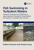 Cover: Fish Swimming in Turbulent Waters - CRC Press