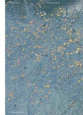 Cover: Olga Cafiero - Flora Neocomensis - Scheidegger & Spiess