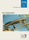 Cover: Der Fadenmolch - Militzke Verlag GmbH