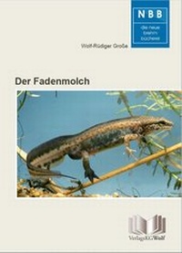 Abbildung von: Der Fadenmolch - Militzke Verlag GmbH