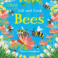 Enlarge image Cover: Kew: Lift and Look Bees - Bloomsbury Activity Books