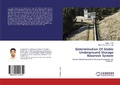 Cover: Determination Of Stable Underground Storage Reservoir System - LAP Lambert Academic Publishing
