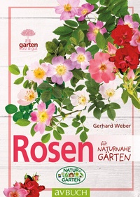 Abbildung von: Rosen - Cadmos Verlag