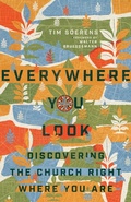 Cover: Everywhere You Look - IVP