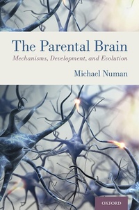 Bild: The Parental Brain - OUP eBook