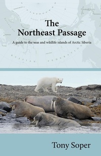 Enlarge image Cover: The Northeast Passage - Venture Books