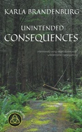 Cover: Unintended Consequences - Sonderocity