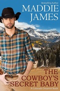 Cover: The Cowboy's Secret Baby (Colorado Dreamin', #2) - Sand Dune Books
