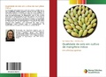 Cover: Qualidade de solo em cultivo de mangifera indica - Novas Edicoes Academicas