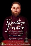 Cover: Goodbye Forever - Aro Books Worldwide