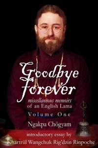 Enlarge image Cover: Goodbye Forever - Aro Books Worldwide
