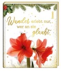 Cover: Wunder erlebt nur, wer an sie glaubt - St. Benno