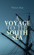 Cover: A Voyage to the South Sea - e-artnow