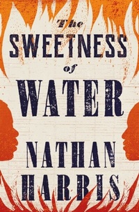 Enlarge image Cover: The Sweetness of Water - Tinder Press