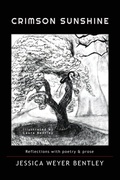Cover: Crimson Sunshine - AlyBlue Media