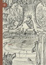Cover: Imperial Beast Fables - Palgrave Macmillan