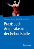 Cover: Praxisbuch Adipositas in der Geburtshilfe - Springer