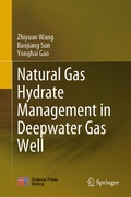 Cover: Natural Gas Hydrate Management in Deepwater Gas Well - Springer