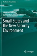 Cover: Small States and the New Security Environment - Springer