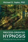 Cover: Process-Oriented Hypnosis - WW Norton & Co