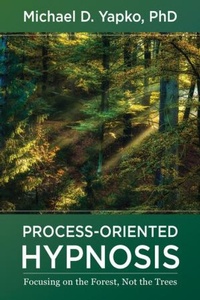 Enlarge image Cover: Process-Oriented Hypnosis - WW Norton & Co