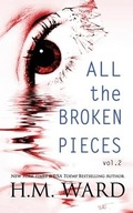 Cover: All The Broken Pieces - Laree Bailey Press