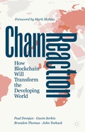 Cover: Chain Reaction - Palgrave Macmillan