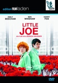 Cover: Little Joe - Falter Verlag