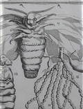 Cover: Deborah Jeromin. Fallschirmseide - Spector Books
