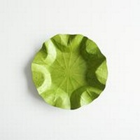 Abbildung von: Flexible Hanji-Papierschale Lotusblatt (M) Grün - Ablage / Servierschale aus traditionellem Hanji-Papier - Bookchair