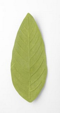Abbildung von: Flexible Hanji-Papierschale Blatt Grün - Ablage / Servierschale aus traditionellem Hanji- - Bookchair